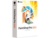 R[ PaintShop Pro 2021 289970
