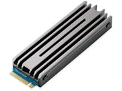 SSD  2TB M.2 2280 PCIe/ESD-IPS2000G
