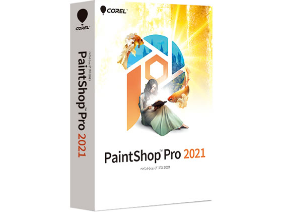 R[ PaintShop Pro 2021 289970