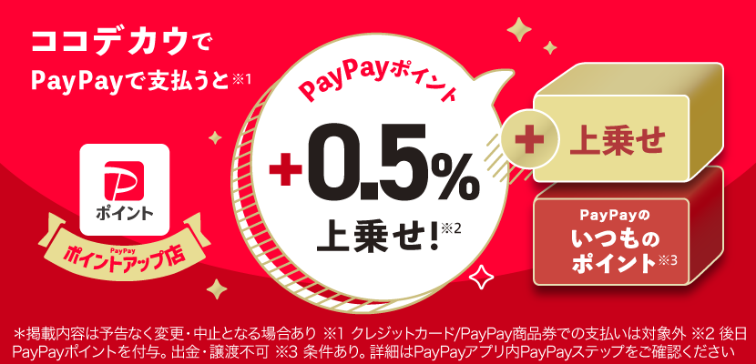RRfJEPayPayłxŁA0.5|Cg悹