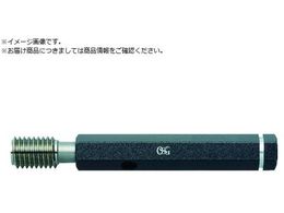 OSG �v���O�Q�[�W �˂��p���E�Q�[�W LG M2�~0.4mm 30222