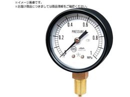 �E�� �X�^�[ ���͌v A�g���^�E��60 ���̓����W0.0�`0.60MPa S-21-0.6MP