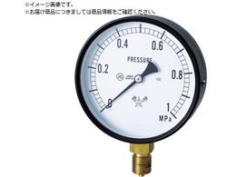 �E�� �X�^�[ ���͌v A�g���^�E��100 ���̓����W0.0�`0.16MPa S-41-0.16MP