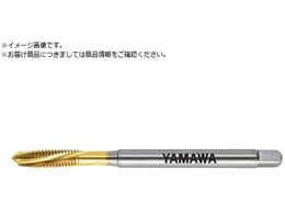 } Opʂ茊pXpC^bv LS-F-SL L100 P2 M6X1 LS-F-SL-F-P2-100-M6X1