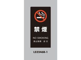  X^hTC LSTC ubN ։ LS2246B-1