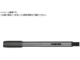 ���}�� �����O��S�p���[���^�b�v LS-N-RS L100 G7 M6X1 P LS-N-RS-F-G7-100-M6X1-P