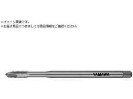 } O|Cg^bv LS-PO L120 P2 M3X0.5 LS-PO-F-P2-120-M3X0.5