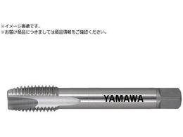 } O|Cg^bv LS-PO L250 P4 M30X2 LS-PO-P4-250-M30X2