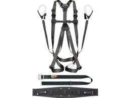 ^W} ZOlX 301 L SEGNES301L