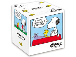 NVA NlbNX eBV[ Xk[s[ 80g 46055