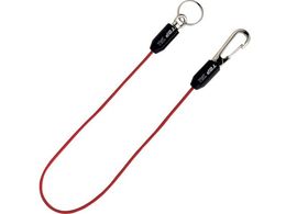 gbvH TOP SXZ[teBR[h bh SFC-250R