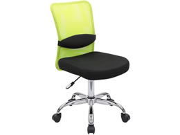 �J�O�N�� ���b�V���`�F�AAM2 �I�Ȃ� �O���[�� AM2-001-GR