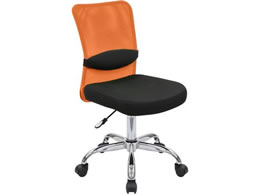 �J�O�N�� ���b�V���`�F�AAM2 �I�Ȃ� �I�����W AM2-001-OR