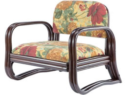 t@~[ECt NEWVRَv֎q [^Cv 04010