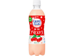 �A�T�q���� �J���s�X�\�[�_ �썑�A�Z���� 500mL