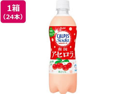 �A�T�q���� �J���s�X�\�[�_ �썑�A�Z���� 500mL 24�{