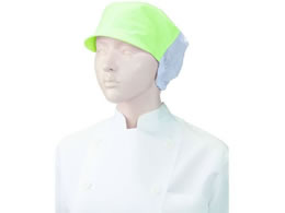 KAZEN WLD �l�b�g�t���L���b�v �~���g�O���[�� 2���~2�� APK484-2