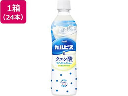 �A�T�q���� �J���s�X&�N�G���_ 490mL 24�{