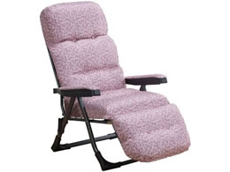 t@~[ECt 났̃NCjOA[`FAEXII PK 0411370