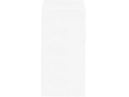 n[g Ȃ 3 gȂ 100 XEP243