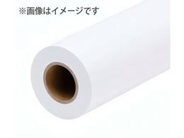 EPSON �|���W�N���X 610mm(24�C���`)���~20m SS2000-610