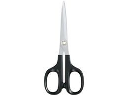 RN nT~ [HASA] (EHp) HASA-003