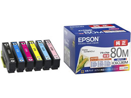 EPSON CNJ[gbW 6FpbN  IC6CL80M