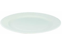 y[p[EFA ʃv[g 18cm 50P