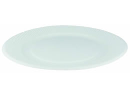 y[p[EFA ʃv[g 20cm 50P