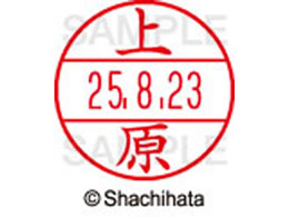 V`n^ f[^[l[EX15  ㌴ XGL-15M-0366