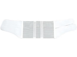 �A���P�A �T�N���t�B�b�N�X(L)�A���P�A 10662(1�R�C��)