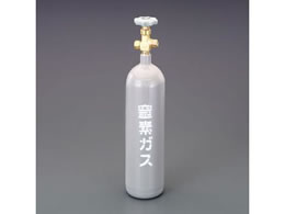 �G�X�R 2.1L ���f�{���x �e��̂� EA301-1A