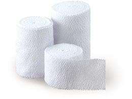 ���{�q�� �V�F���^�C(R)�E�z���C�g(�L�k���)2�� 10���� 61-8510-20