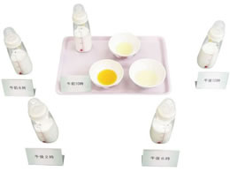 �C���C�T���v�� �����H�������f��A 5�`6������ �H�i�͌^ 24-4510-01 44-1