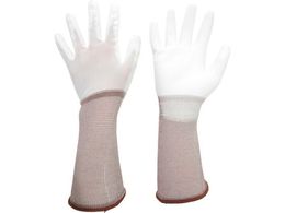 ~hS ᔭo O ̂ЂR[g 10o SS