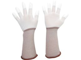 ~hS ᔭo O wR[g 10o SS