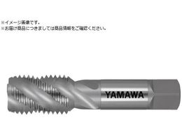 } XpC^bv SP P4 M30X3.5 SP-M30X3.5