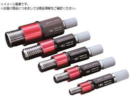 AC[ EFC˂vOQ[W SPO GPIP2 ʂ~