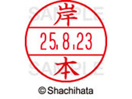 �V���`�n�^ �f�[�^�[�l�[��EX15�� ��� �ݖ{ XGL-15M-0894