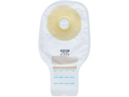 �A���P�A ���[�P�A�[�ETDs(25) 10�� 21542