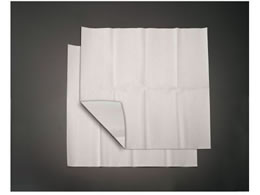 �G�X�R 570�~570mm �G�A�R���t�B���^�[ 2���� EA997PN-1