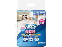 jE`[ybgPA }i[EFA ybgpIc M 28