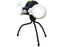 ���T�V �ǂ��ł��Z���T�[���C�g �_�u�� ASL-092