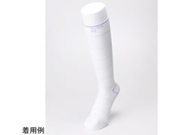 ���{ �\�b�N�X�t�H�[DVT �����_���^�C�v M 64-9079-08