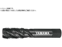 } XeX|pXpC^bv SU2-SP P4 M22X2.5 SU2-SP-P4-M22X2.5