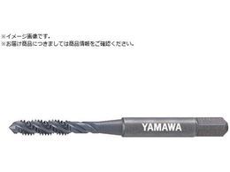 } XeX|pXpC^bv SU-SP P2 M10X1.25 SU-SP-M10X1.25