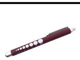 ���[���h�f�� �y�ʃz���C�gLED�y�����C�g �o�[�K���f�B 65-6882-49