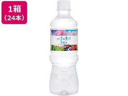 �~�c�E���R�r�o���b�W �l�G�̌b�ݓV�R�� 500mL 24�{
