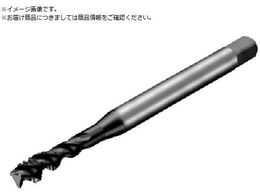 SANDVIK �R���^�b�v300 �X�p�C�����^�b�v 780 P1PM T300-PM100JA-M6 P1PM 780