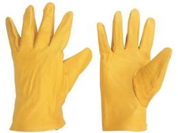 ~hS \v MT-14D- MT-14D-GYUU-Y